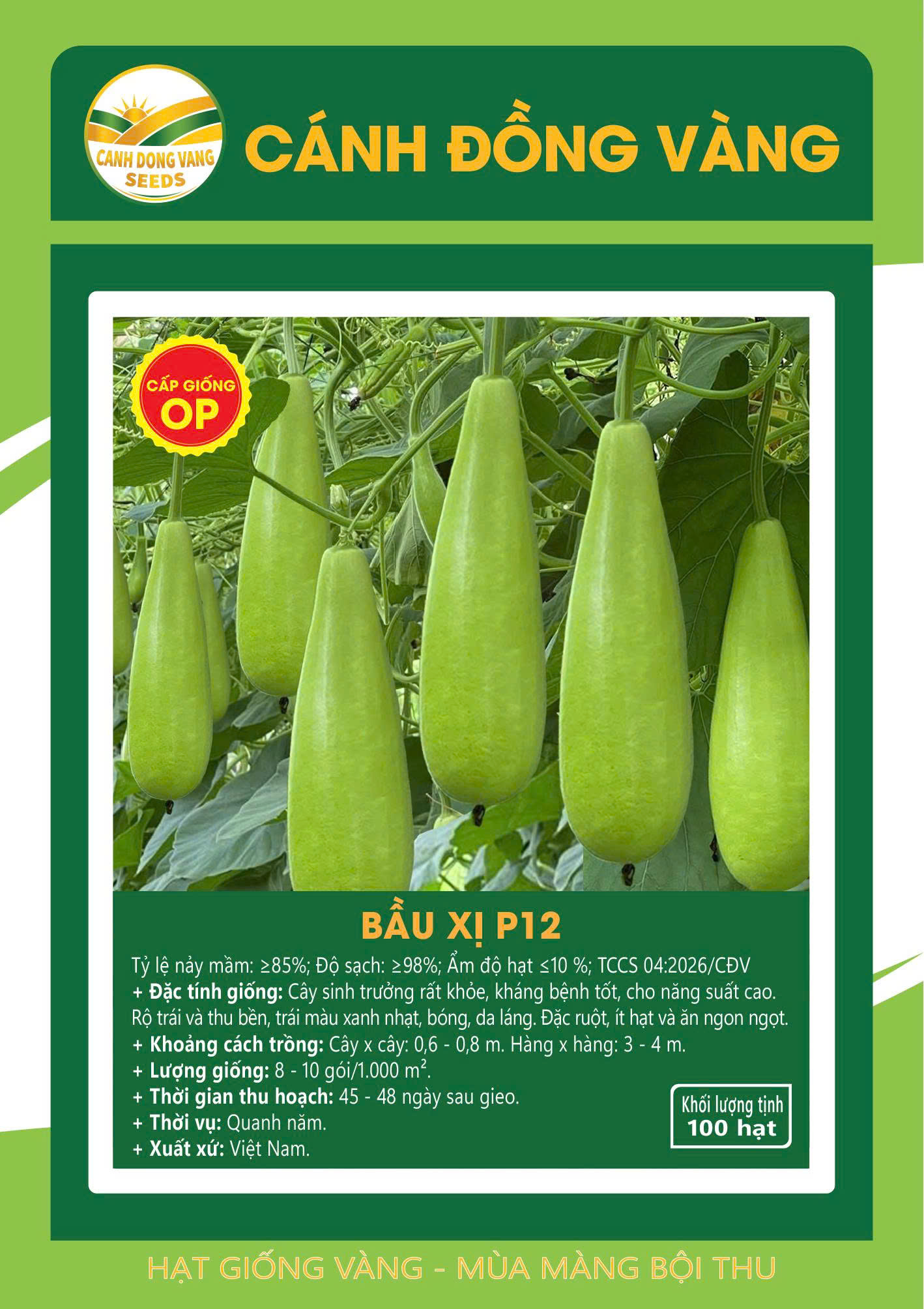 BẦU XỊ P12